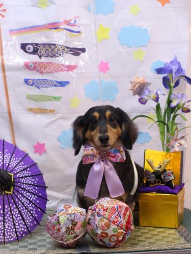 20240502ロイくん